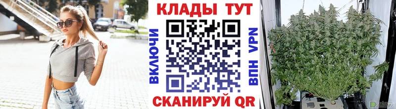  COCAIN Чернушка