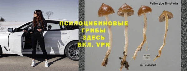 гидропоника Балабаново