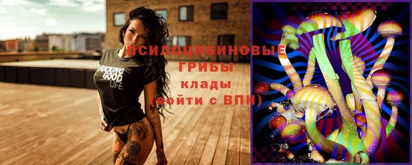 ГАЛЛЮЦИНОГЕННЫЕ ГРИБЫ Балахна